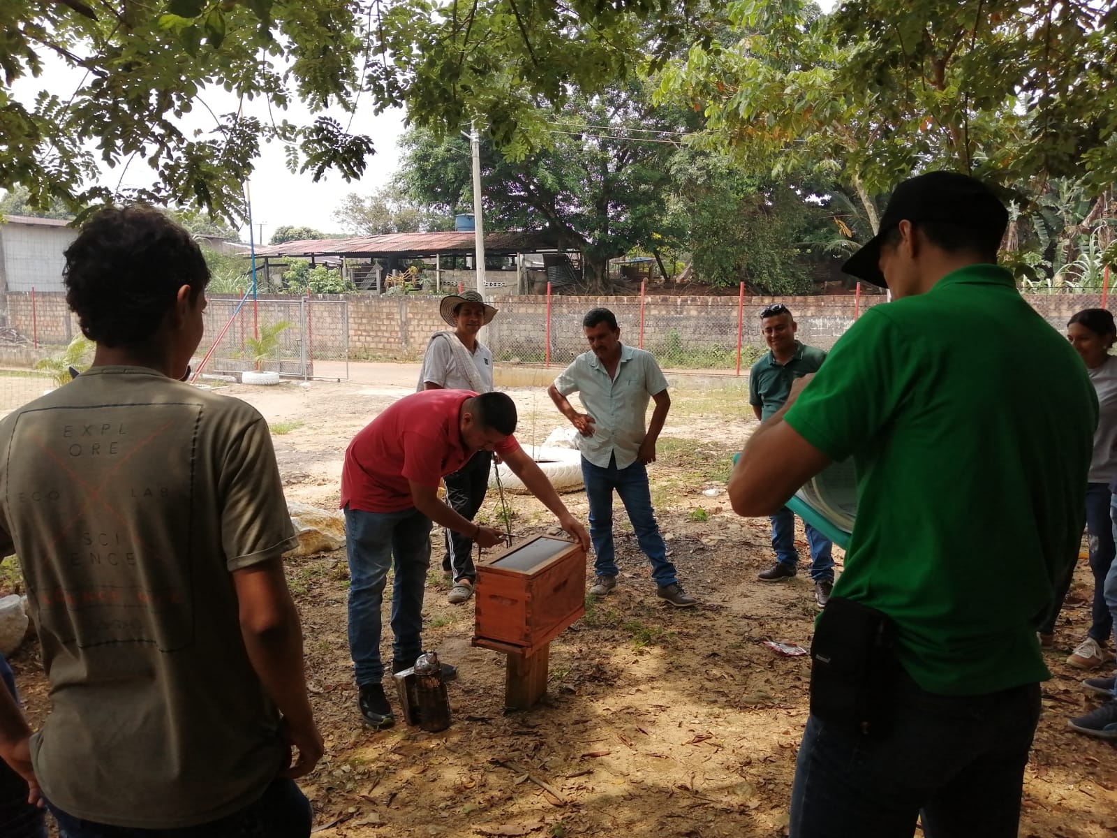 Cursos, talleres y otros servicios apícolas