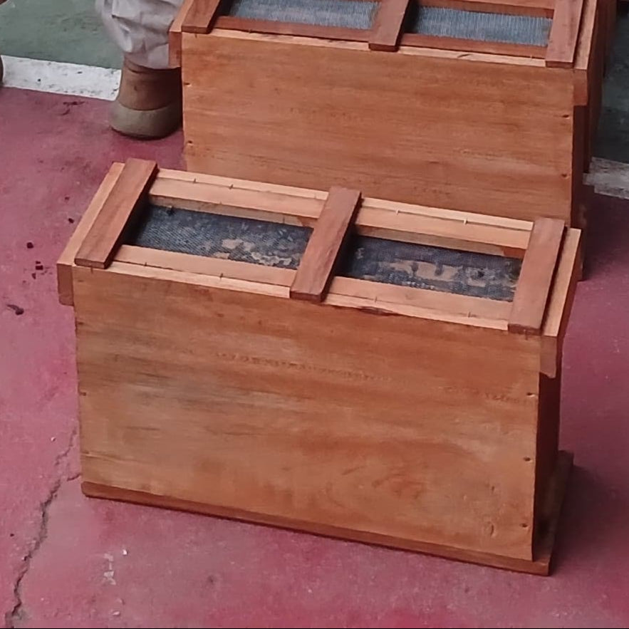 Núcleos de apicultura