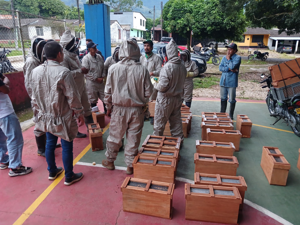 Cursos, talleres y otros servicios apícolas