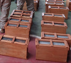 Núcleos de apicultura