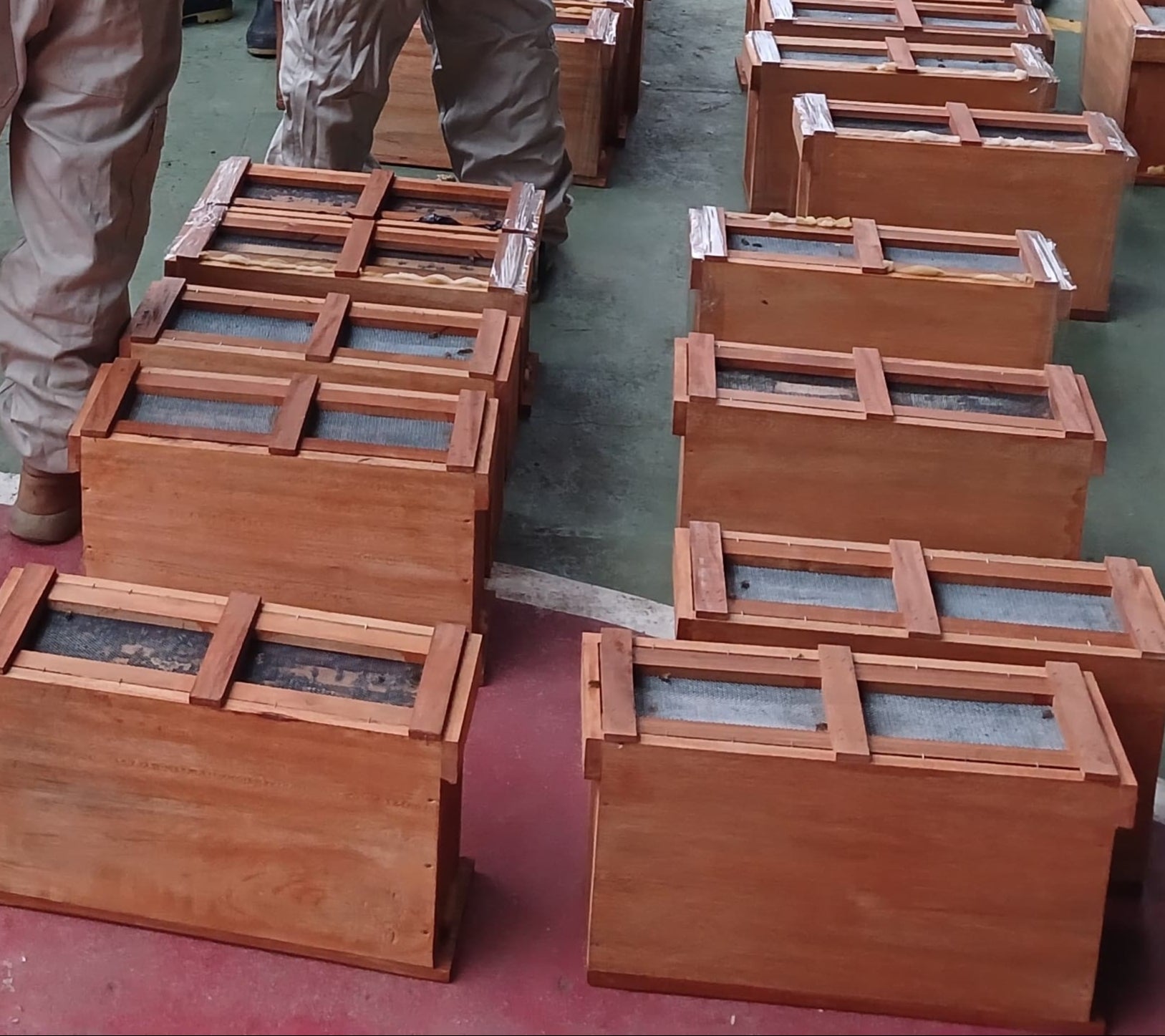 Núcleos de apicultura