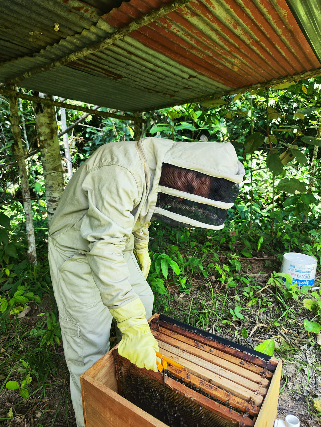 Cursos, talleres y otros servicios apícolas