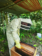 Cursos, talleres y otros servicios apícolas