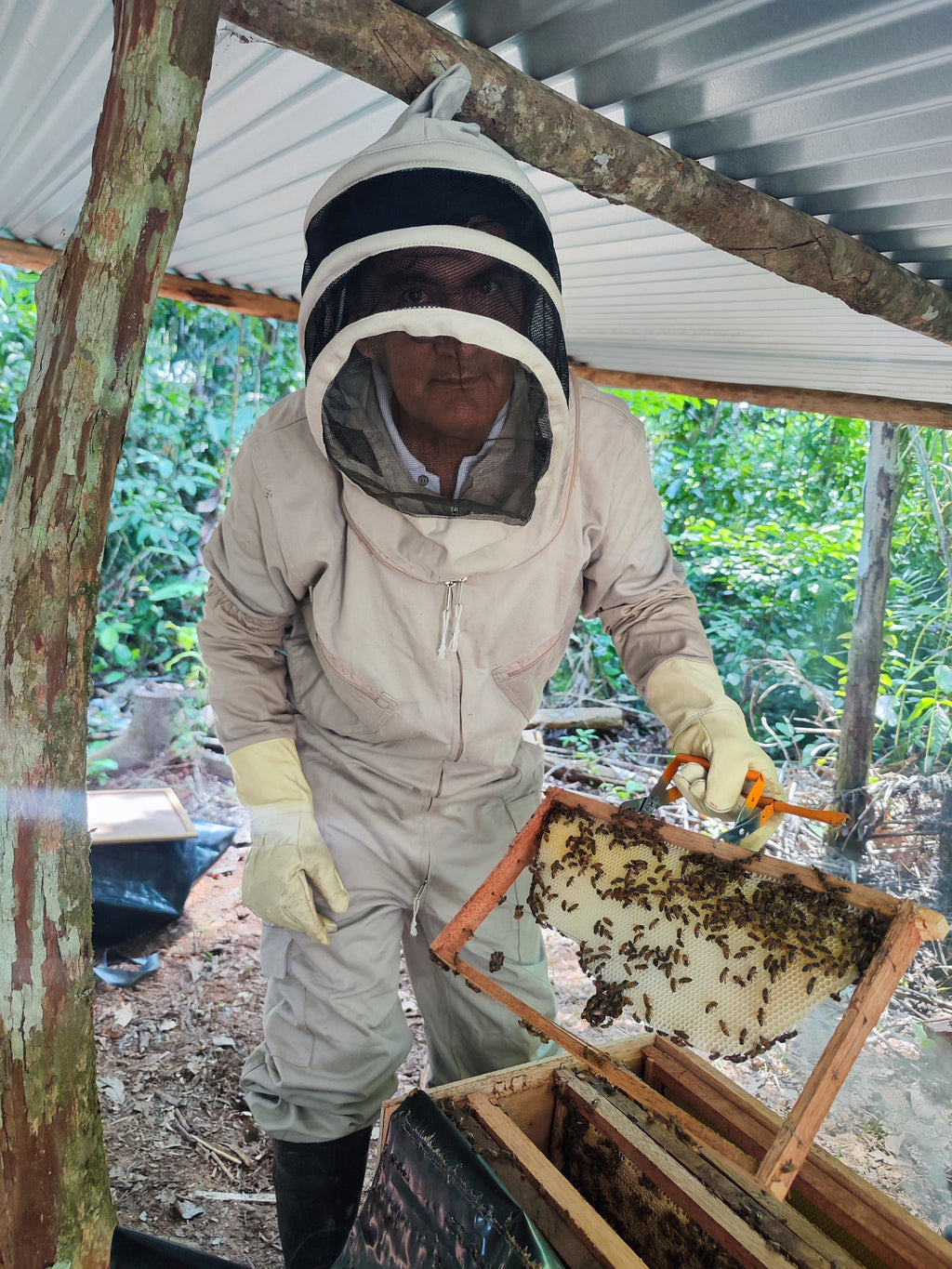 Cursos, talleres y otros servicios apícolas