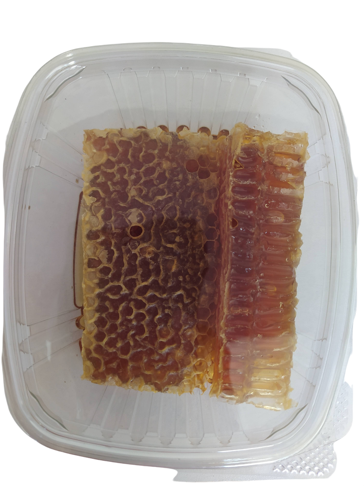 Miel de abeja de Biocolmena en Panal