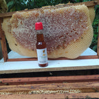 Miel de abeja natural