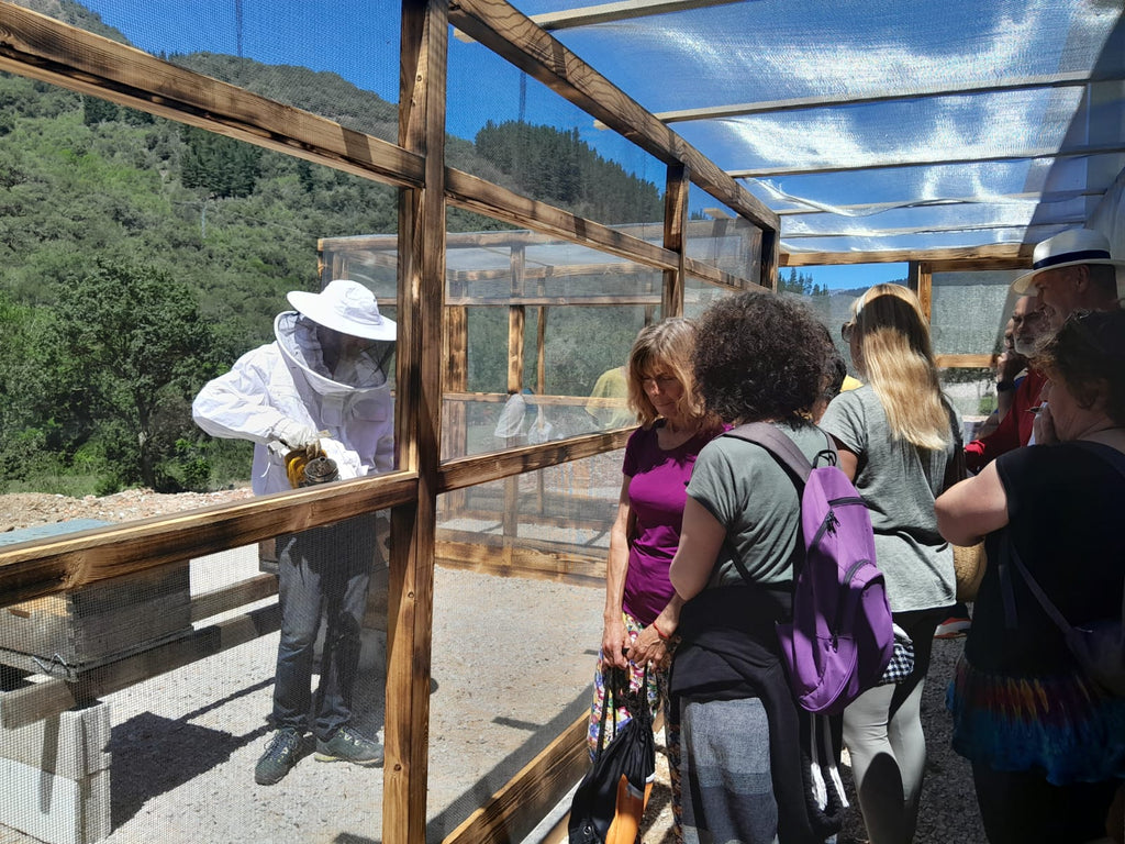 Cursos, talleres y otros servicios apícolas