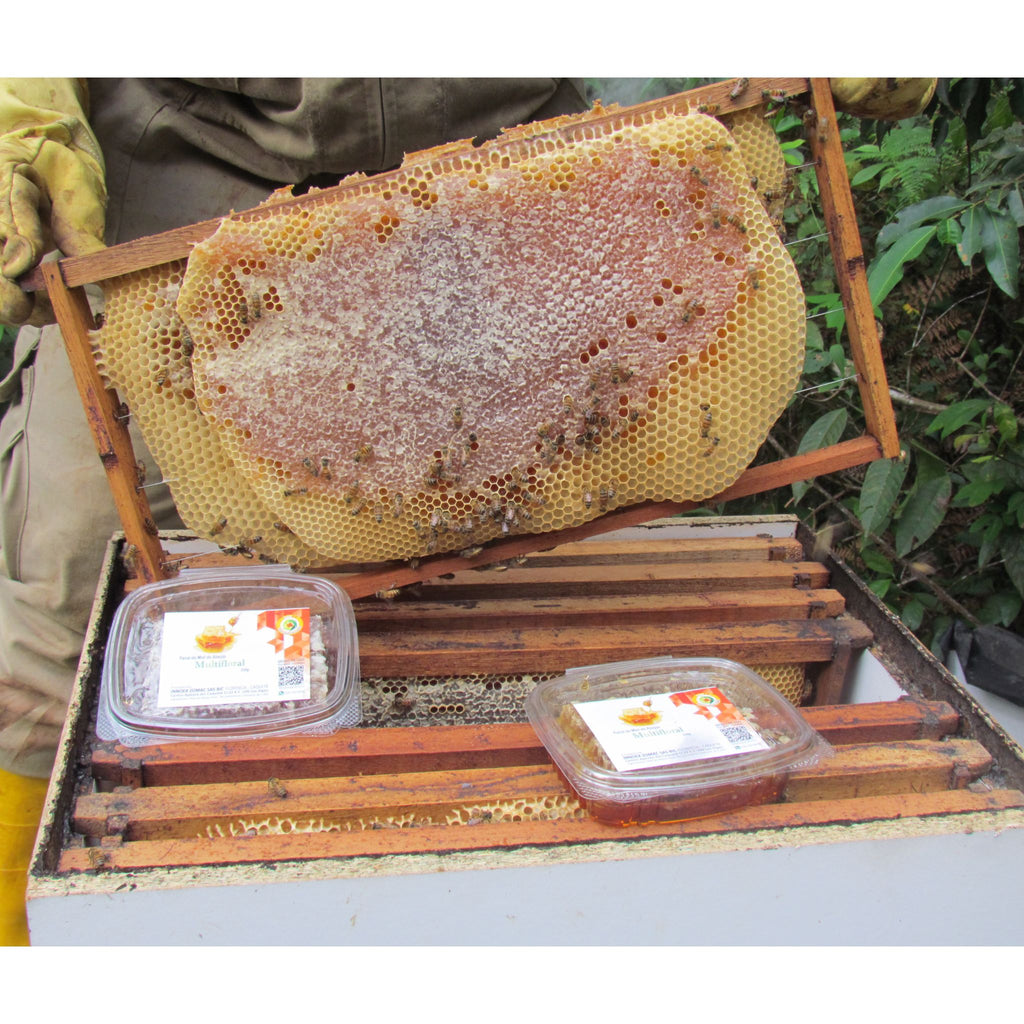 Miel de abeja de Biocolmena en Panal