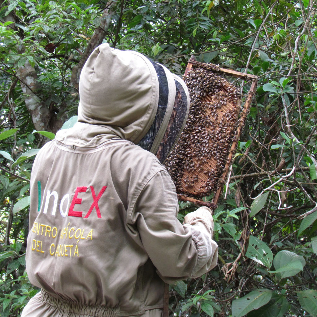 Miel de abeja natural