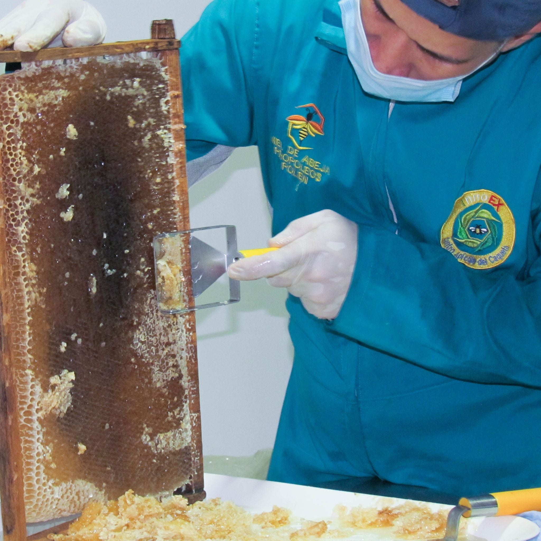 Miel de abeja de Biocolmena