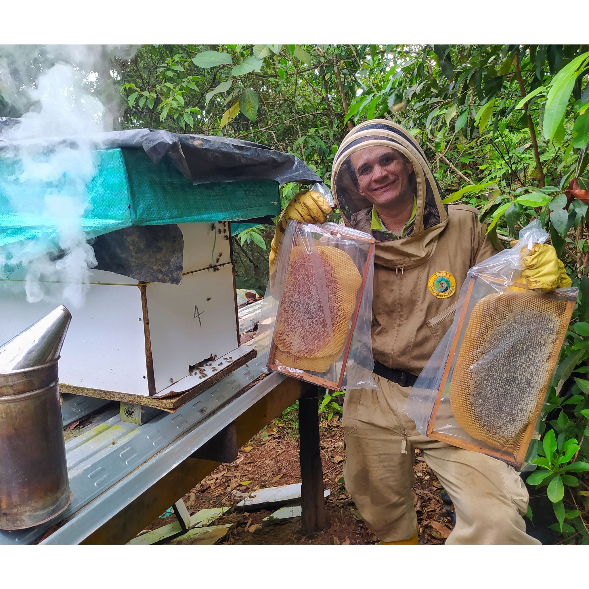 Miel de abeja natural