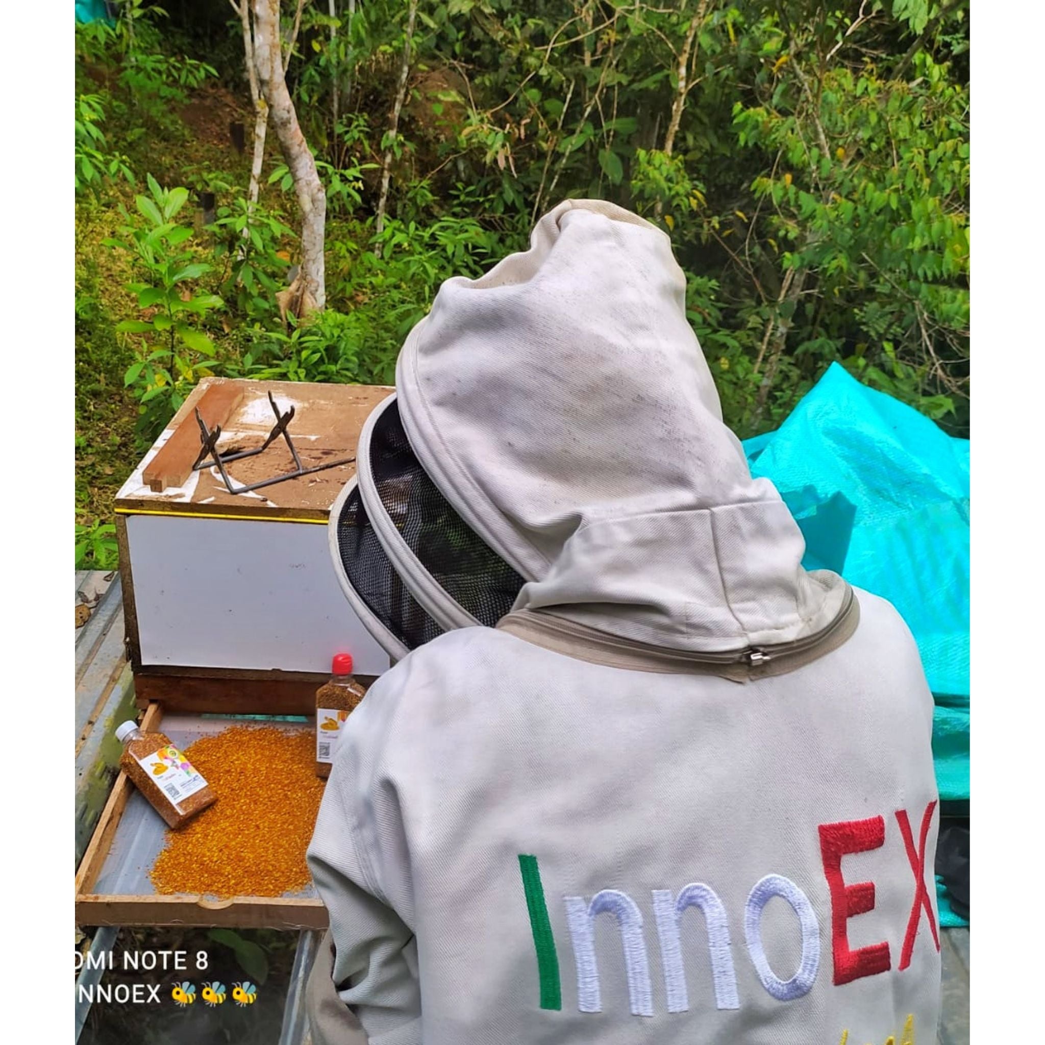 Polen de abejas